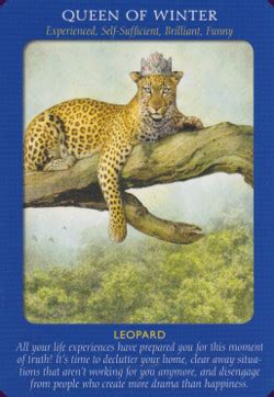 Animal tarot is translated from german tiertarock. Animal Tarot Cards Reviews & Images | Aeclectic Tarot