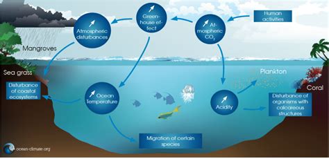 Marine Ecosystem Resilience Ocean And Climate Initiatives