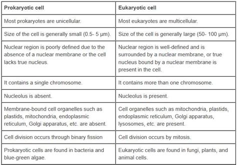 If golgi apparatus is not there then materials synthesized by cell will not be packaged and transported. NCERT Solutions - The Fundamental Unit Of Life Class 9 ...