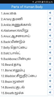 Ankle, aorta, back, backwards, bite, blue+eyes, body, body parts, bone, brain, brown eyes, butt, calf, calves, cartoon eyes. Daily Words English to Tamil - Apps on Google Play