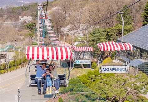 Seoul Grand park Zoo Ticket - WAUG
