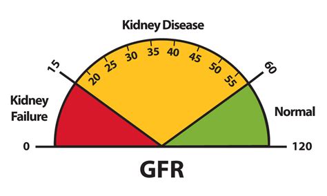 Treatment For Kidney Disease How To Improve Gfr Level Naturally In