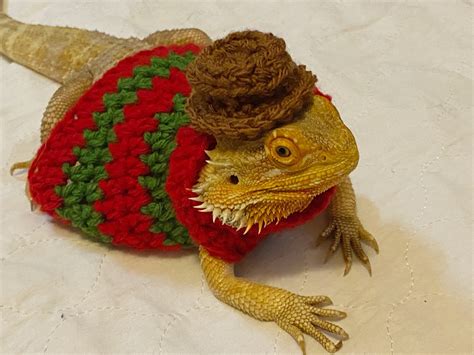 Crocheted Adult Freddy Krueger Bearded Dragon Costume Etsy