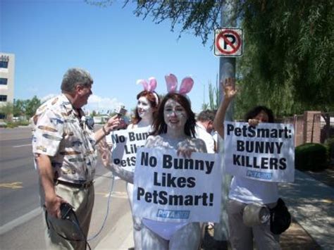 Petsmart has everything you need to keep your new friend happy and healthy including cages, feeders and water bottles. PetSmart Puts Rabbits in Harms Way | PETA