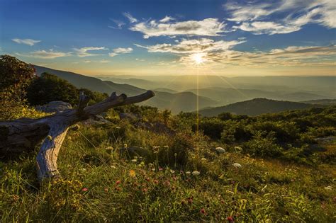 Free Images Landscape Tree Nature Forest Grass Horizon