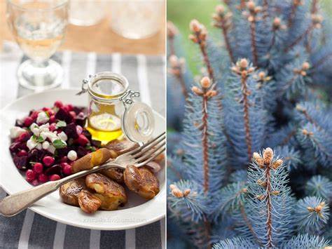 Диета свекла меню Свекольный салат | Свекольный салат, Салаты, Меню Свекольный салат | Свекольный салат, Салаты, Меню Диета свекла меню