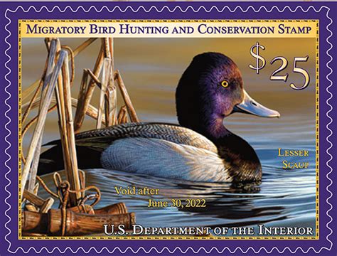 2021 2022 Duck Stamp And Junior Duck Stamp Friends Of The Migratory