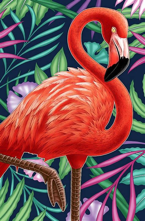 Nicholas Ivins Flamingo Color Flamingo Art Print Flamingo Wallpaper