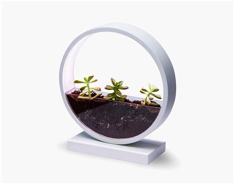 Product Of The Week A Beautiful Ring Planter With Grow Lights Indoor