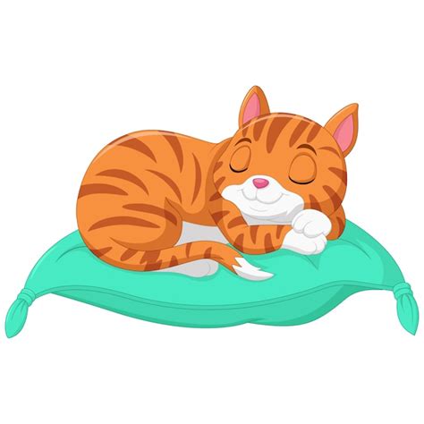 Cat Sleeping On Pillow Cartoon