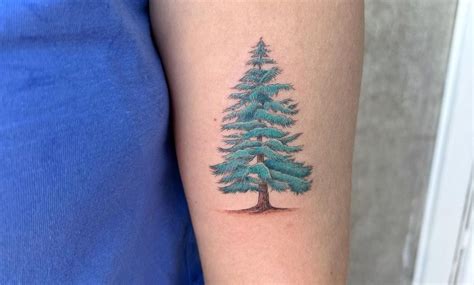 Sensational Pine Tree Tattoo Ideas To Get In