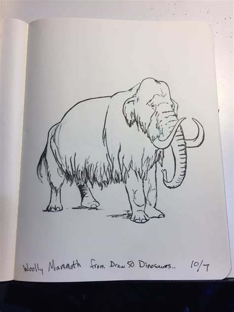Mammoth Sketch At Explore Collection Of Mammoth Sketch