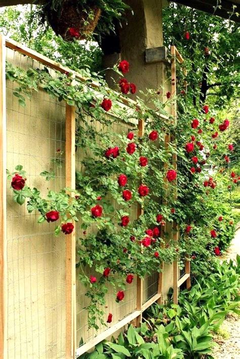 35 Unique Garden Trellis Ideas To Enhance Your Outdoors Trellis