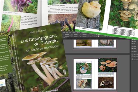 Livre Association Mycologique du Cotentin - Cotentin Création