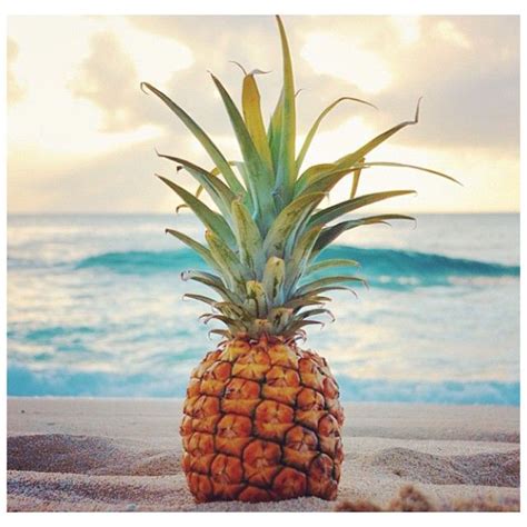 Hawaii pineapple on the beach. Pineapple on the beach | Pineapple, Pineapple wallpaper ...