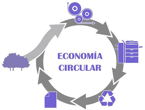 Qué es la economía circular Teorema Ambiental