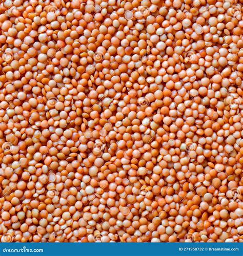 Seamless Texture Of Orange Lentil Groats Top View Stock Photo Image