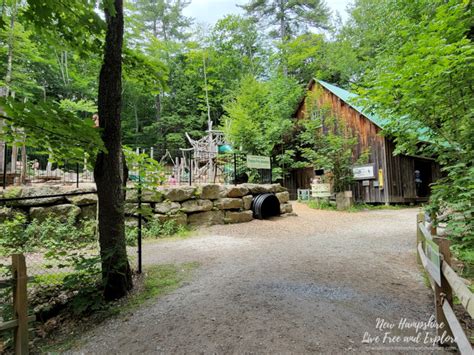 Squam Lakes Natural Science Center New Hampshire Live Free And Explore