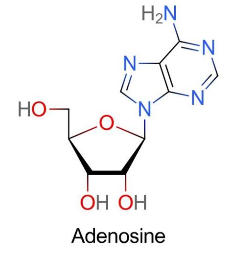 Adenosine Pictures