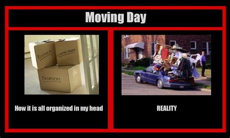 Funny Moving Day Memes For Sanitys Sake