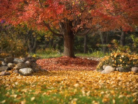 Favorite Pictures of McCrory Gardens in Brookings, South Dakota