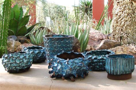 Cactus in a coffee can. Mike Cone pottery = obsession! | Small cactus plants ...