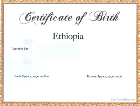 What exactly can a birth certificate do for you? Pin on Certificate Templates
