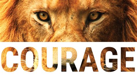 Courage In Business Vividcomm