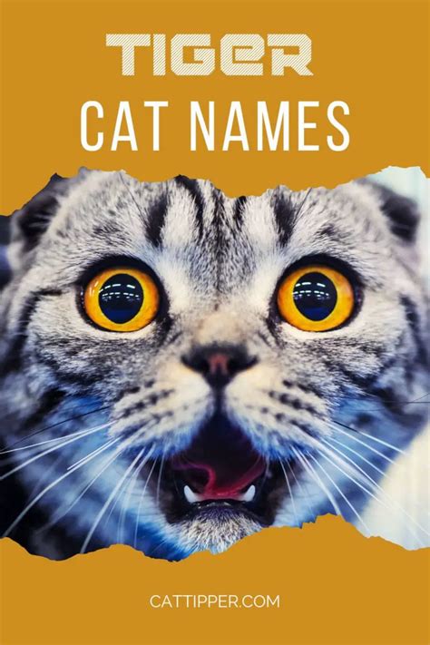 130 Tiger Names For Cats With Stripes