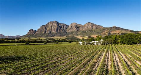 Visiting South Africas Premier Wine Tasting Destination Franschhoek