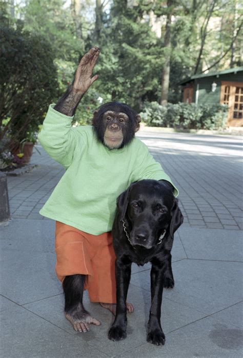 Unser charly is a german television series. Unser Charly Bilder - TV Wunschliste