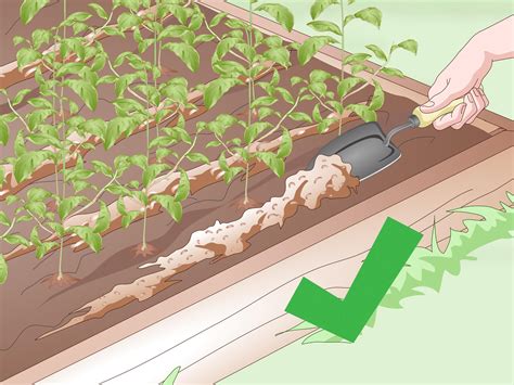 How To Create A No Dig Garden With Pictures Wikihow