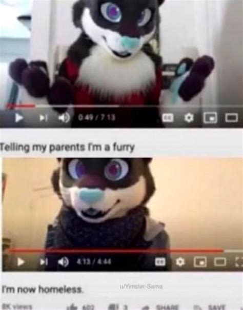 Rteenagers Furries Know Your Meme