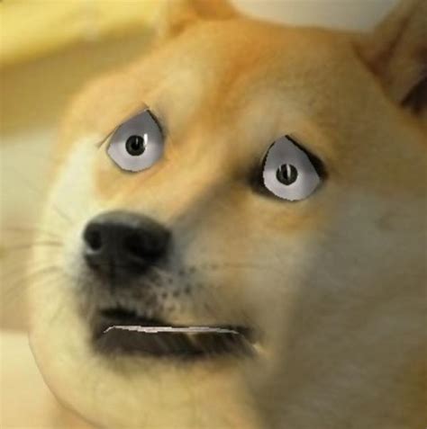 So Scare Doge Know Your Meme