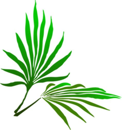 Download High Quality Palm Sunday Clipart Vector Transparent Png Images