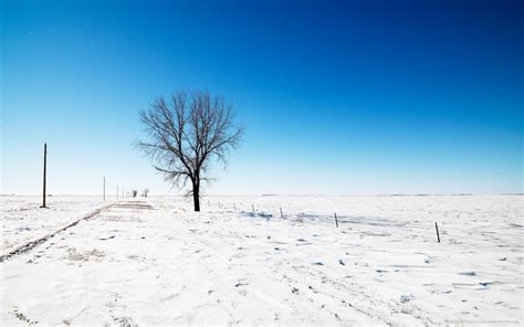 Snowfield Wallpapers Pictures Snowy Field Snowy Field Photos Stock