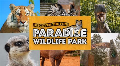 Paradise Wildlife Park Attraction In Hertfordshire The Tourist Trail
