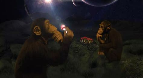 Wtf Is The Stoned Ape Theory