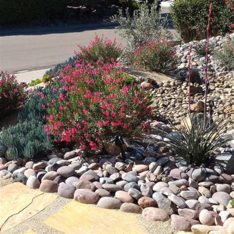 4 Benefits Of Adding Xeriscaping To Your Landscape Design In Colorado
