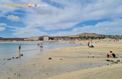 Fuerteventura Explora Guía De Fuerteventura