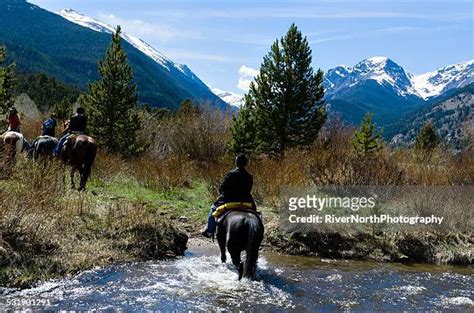 Colorado Horse Park Photos And Premium High Res Pictures Getty Images