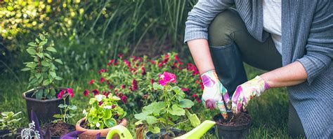 The benefits of gardening there are many different types of hobbies, some for those who enjoy being indoors and some for those who live to be outside. Gardening Essay | Free Essays on Gardening