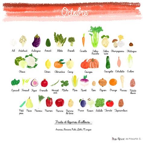 Fruits Et Légumes Doctobre