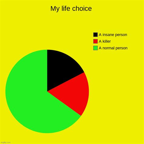 My Life Choice Imgflip