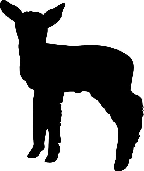 Baby Lamb Svg 258 Svg Png Eps Dxf File