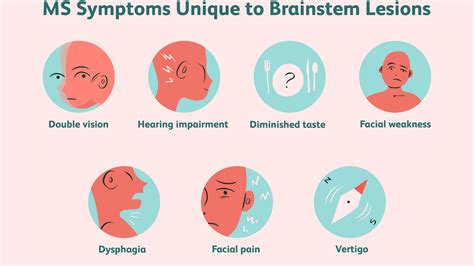 The brainstem regulates vital cardiac and respiratory functions pons: Bookbrain Stem Nuclei : In this lab exercise, you will ...