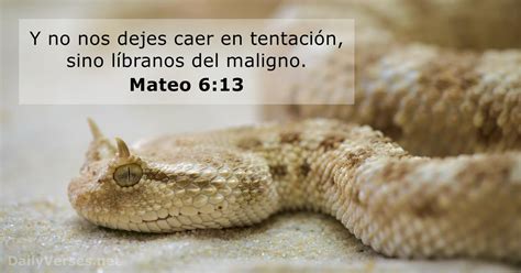 Mateo 6 13 Versículo de la Biblia DailyVerses net