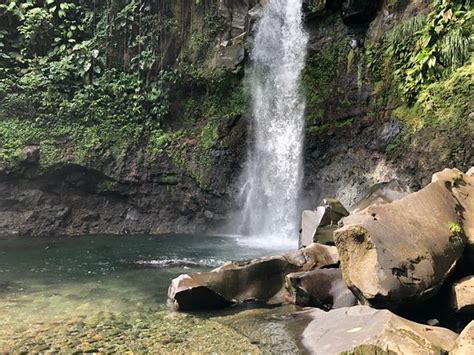 Carbet Falls Les Chutes Du Carbet Parc National 2020 All You Need