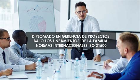 DIPLOMADO EN GERENCIA DE PROYECTOS BAJO LOS LINEAMIENTOS DE LA FAMILIA ...