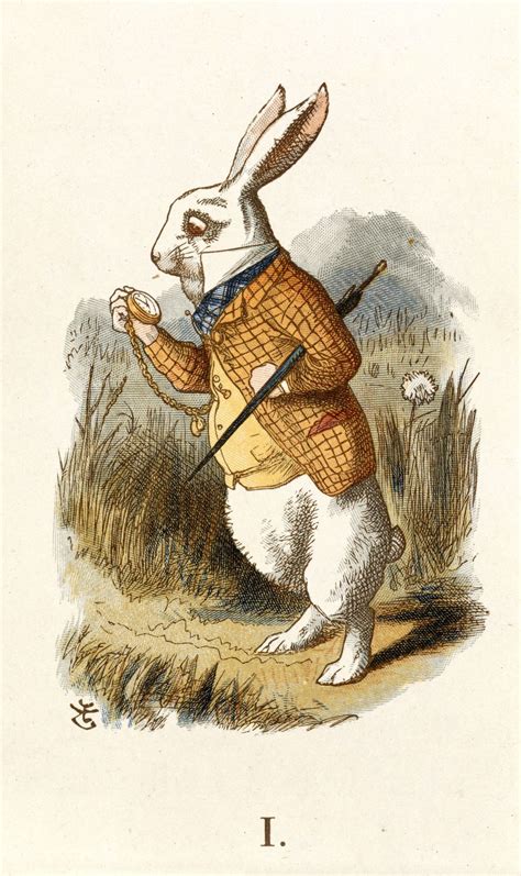 The White Rabbit From Alices Adventures In Wonderland Hagar The